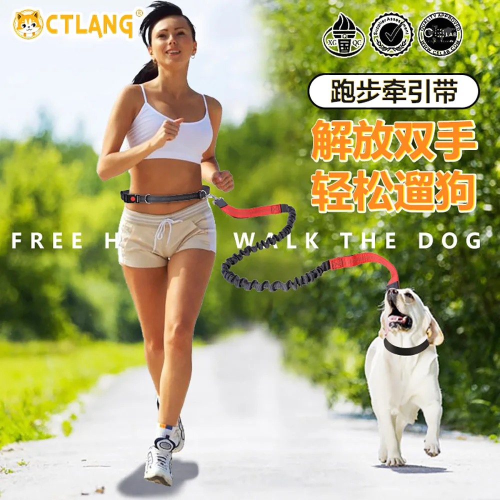 

Hands Free Dog Leash Collar Pet Elastic Belt Running Dog Leash Set Pet Accessories Puppy Reflective Harness Leash For Animals