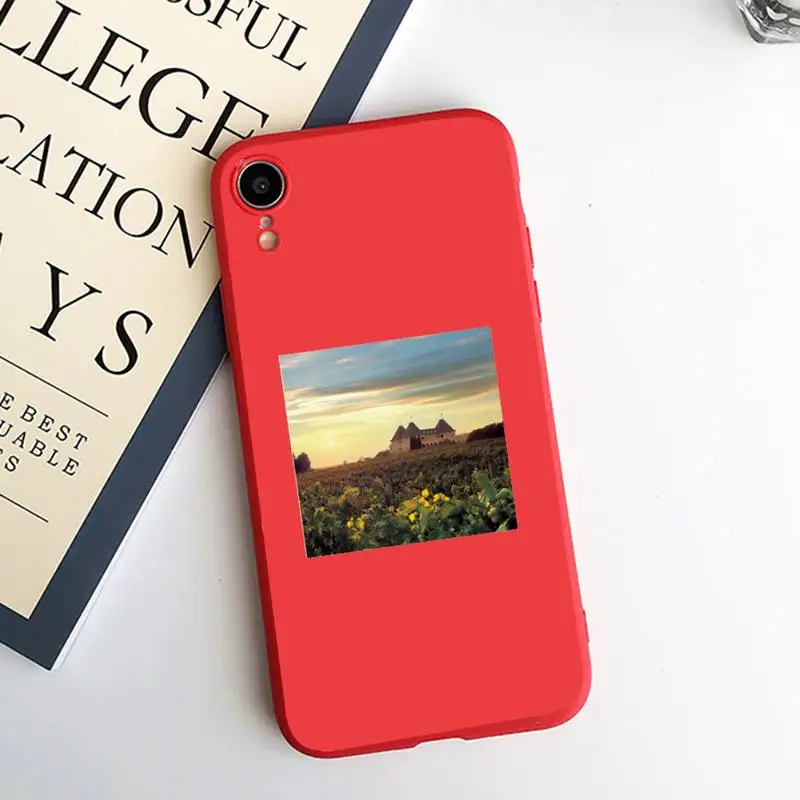 

Aesthetics Cottagecore Style Phone Case Candy Color for iPhone 6 7 8 11 12 s mini pro X XS XR MAX Plus