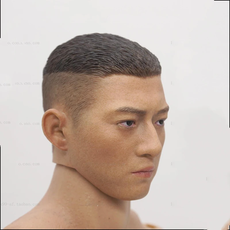 

1/6 Male Body with Head 12''Men Bodies for 1/6 Head Toys Gifts Collections