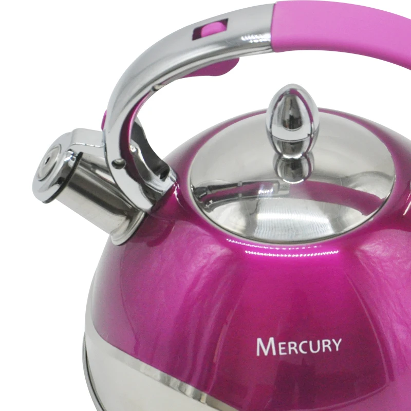 Чайник со свистком для кофе нержавеющая сталь л|Чайники| |