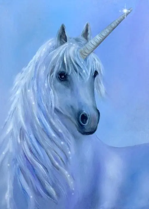 

Алмазная живопись, мультяшный Сериз, «конский», домашний декор, «сделай сам», 5D, квадратная Мозаика из страз, ручная работа, подарок