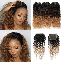 kinky curly bundles with closure ombre colored brazilian hair weave bundles with closure remy human hair bundles with closure