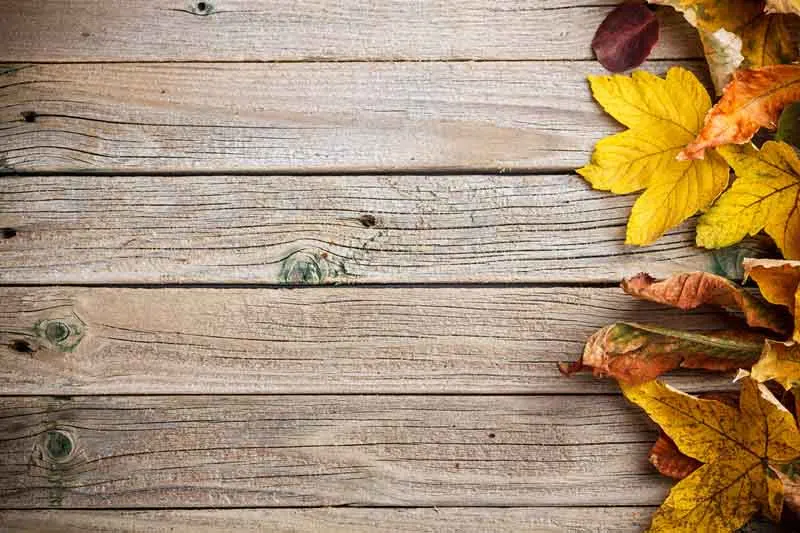 

SHENGYONGBAO Vinyl Custom Photography Backdrops Prop Wood Planks Theme Photo Studio Background 19910-04