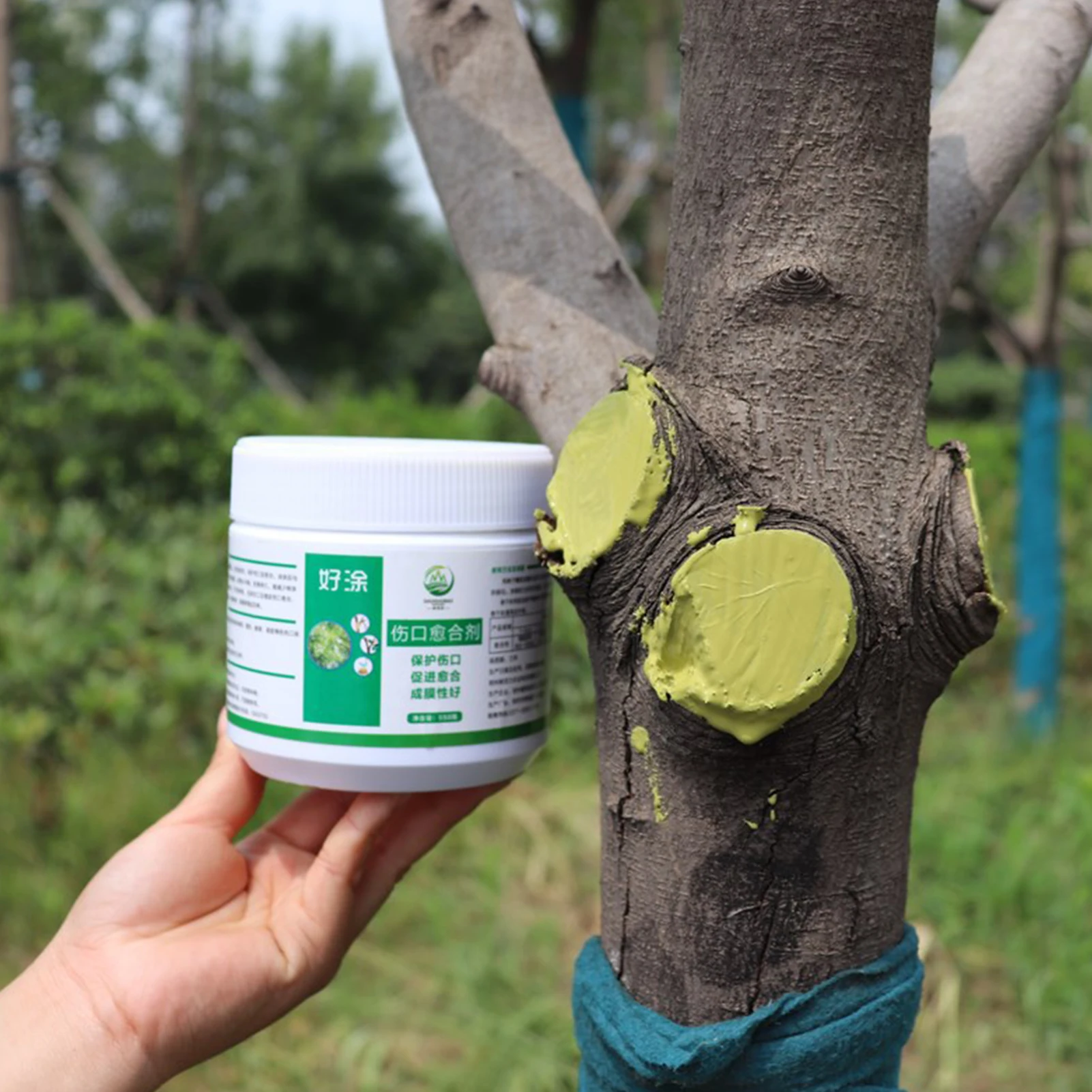 

Garden Grafting Plant Healing Cream Bonsai Care Tree Cut Wound Healing Cream