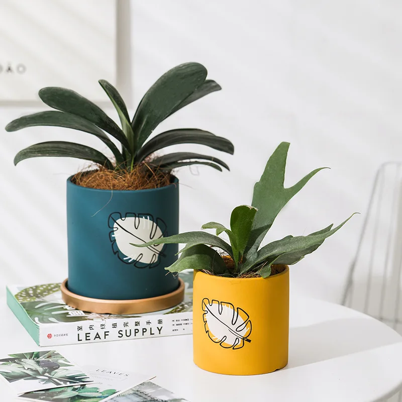 

Керамический цветочный горшок в скандинавском стиле, мясистые зеленые растения, украшение для офиса, украшение для рабочего стола, рождест...