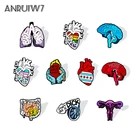 Анатомический орган, почек, кишечника, сердца, матки, пениса, мозга, брошь на лацкан, эмалированные булавки, значок на рубашку, сумку, любовь, дыхание, разум