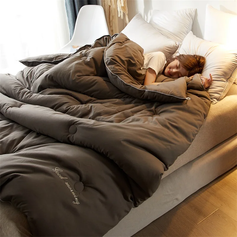 

4 Seasons Down Quilt Duvet Multiple Sizes Quilt Cheap Comfortable Blanket 5 Colors Choose Cotton Cover Warm Thicken Comforter
