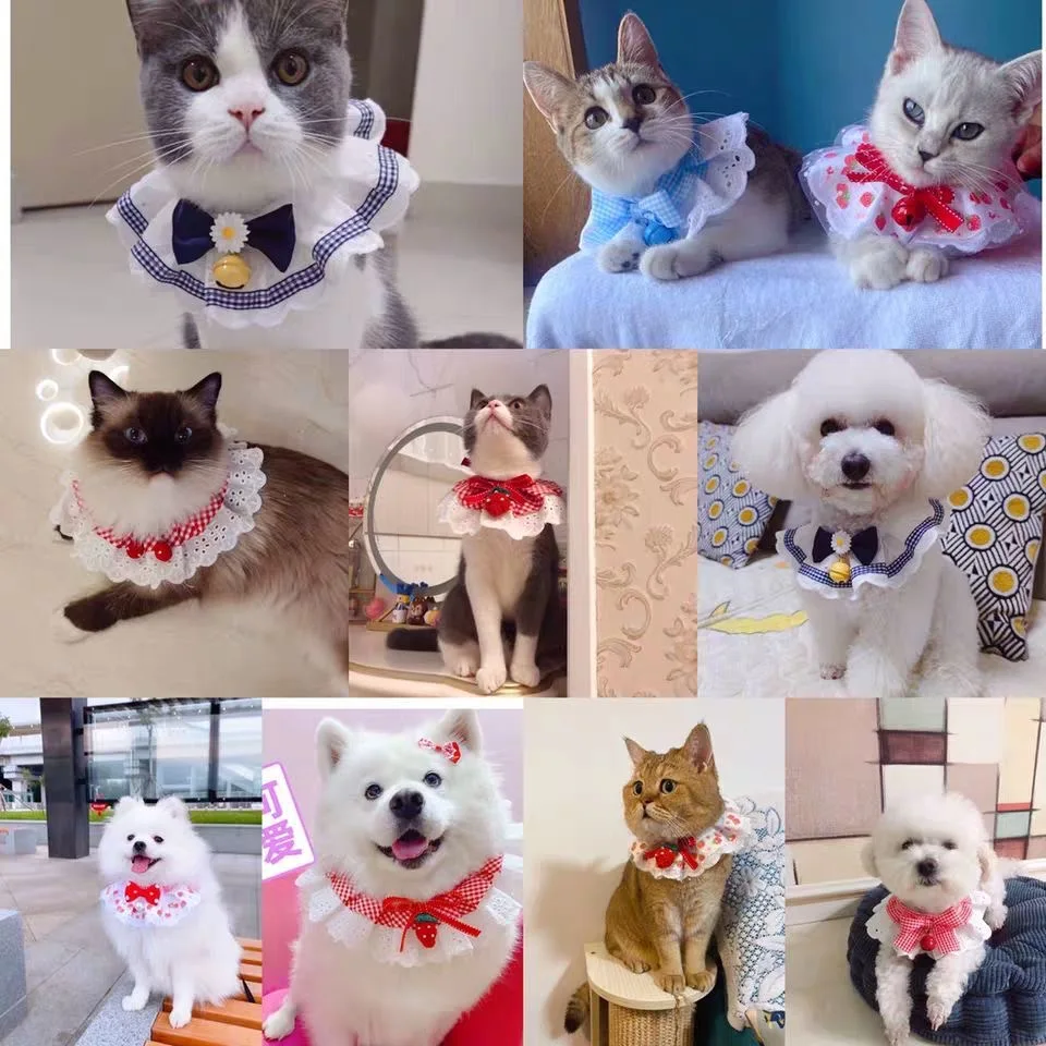 Кружевной нагрудник с бантом и жемчужинами для кошек собаки женский котят милый