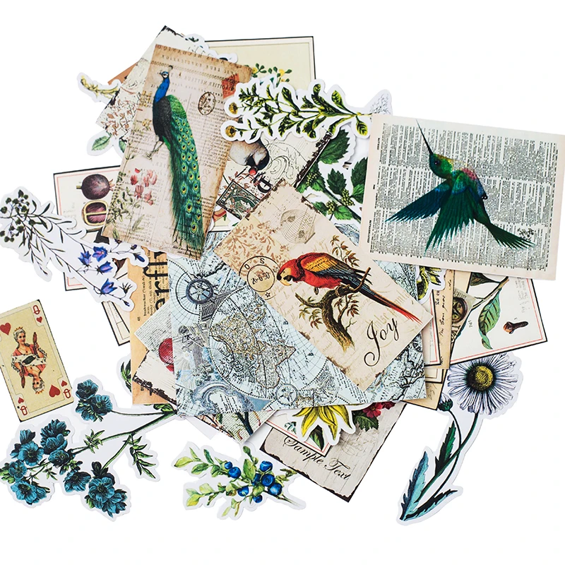 

62Pcs/Pack Vintage Plants Leaves Illustration Sticker DIY Craft Scrapbooking Album Junk Journal Planner Decorative Stickers