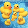 Small Animal Baby Bath Toy Water Squeeze Sounding Dabbling Soft Rubber Duck Kids Duckling Toys for Toddler 3 Years Shower Games 1