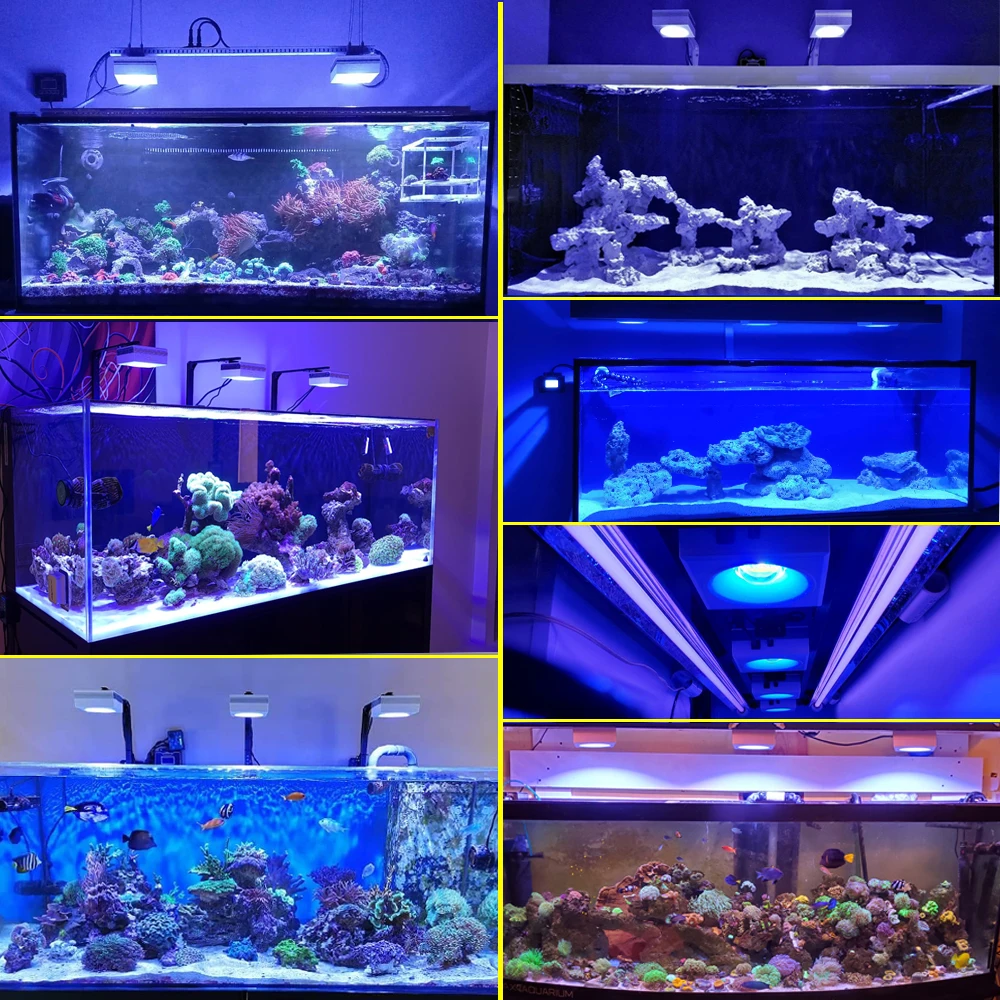 PopBloom-Luz Led de Acuario Marino, iluminaci&oacute;n de Acuario Marino, controlador inteligente-4
