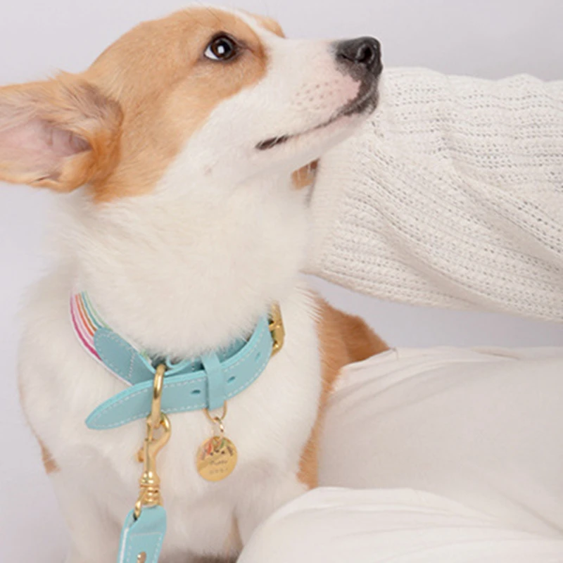 

Legendog Personalized Pet Cat Dog ID Tag Collar Accessories Custom Engraved Necklace Charm Supplies For Dog Tag Name Products
