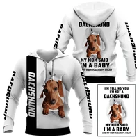 funny dachshund 3d printed hoodies fashion pullover men for women animal sweatshirts sweater cosplay costumes