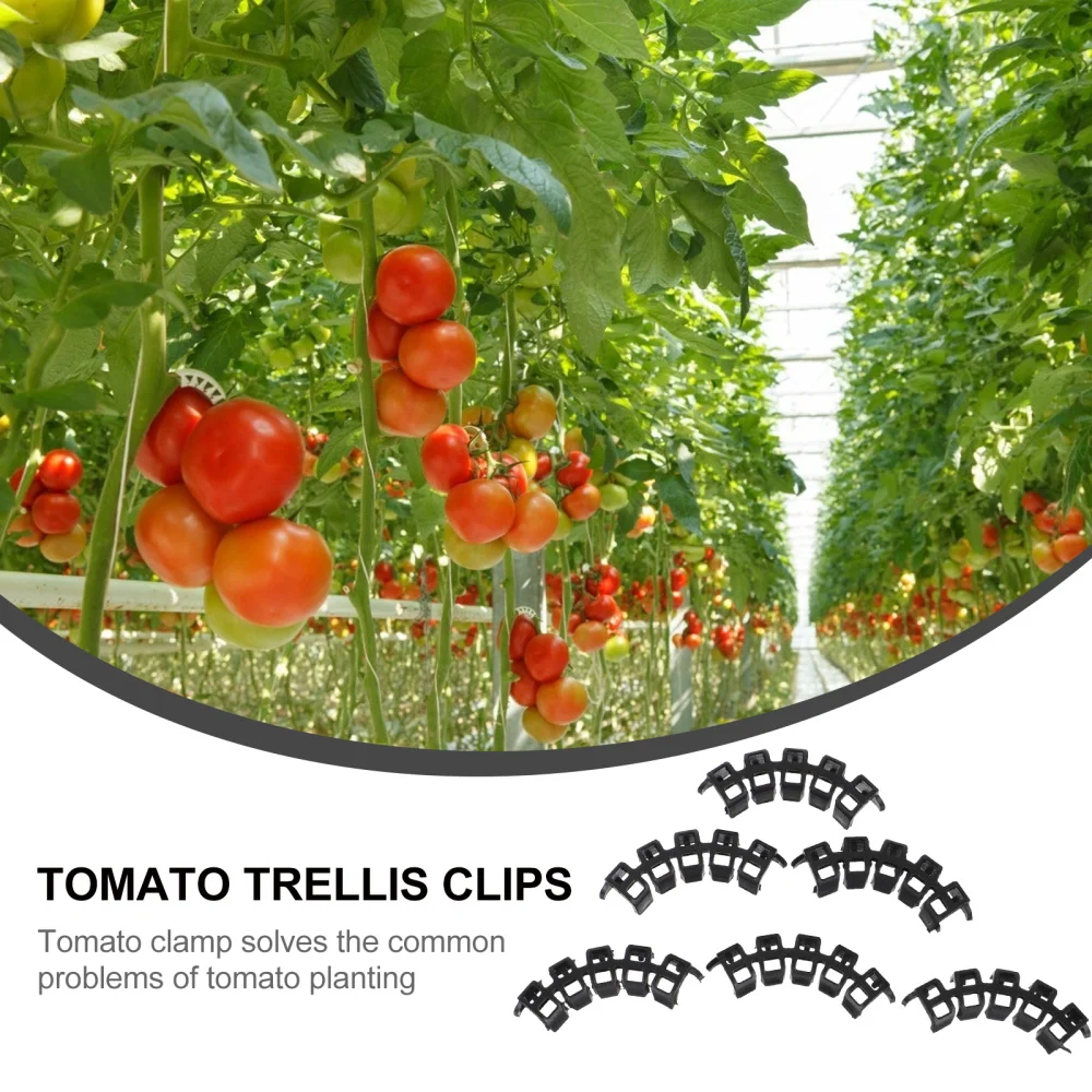 

100 Pcs Vegetable Vine Support Clips Plant Bender Clips Tomato Clamps