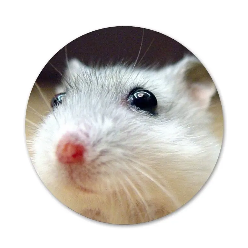 Кролик мышь Хомяк значок для одежды рюкзак украшение подарок | Дом и сад