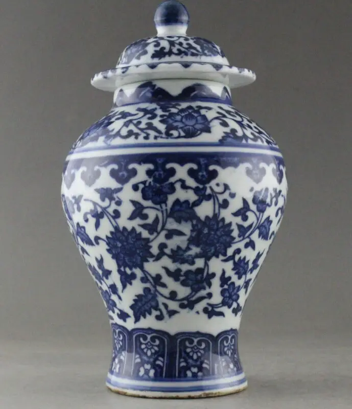

Прекрасная китайская фарфоровая ваза и банка с ручной росписью цветов синего и белого цвета