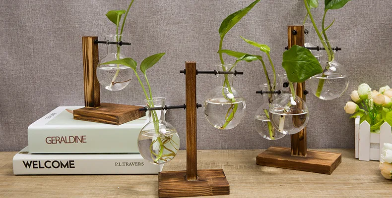 Гидропонная фотография Terrarium винтажный цветочный горшок прозрачная ваза