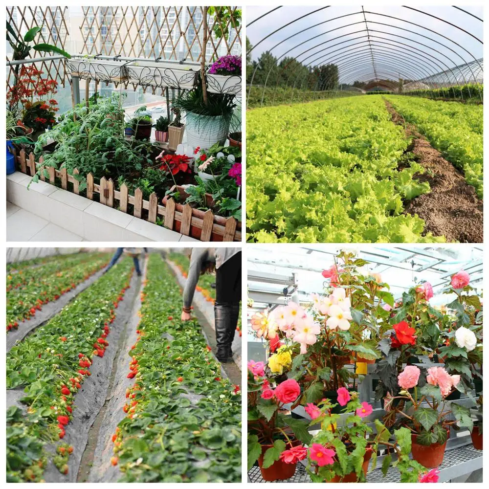 

25 g Bird Repellent Drive Away birds Rabbits Sheep Mice Protect Plant Prevent Animals From Biting Leave Seeds Fruit Flower