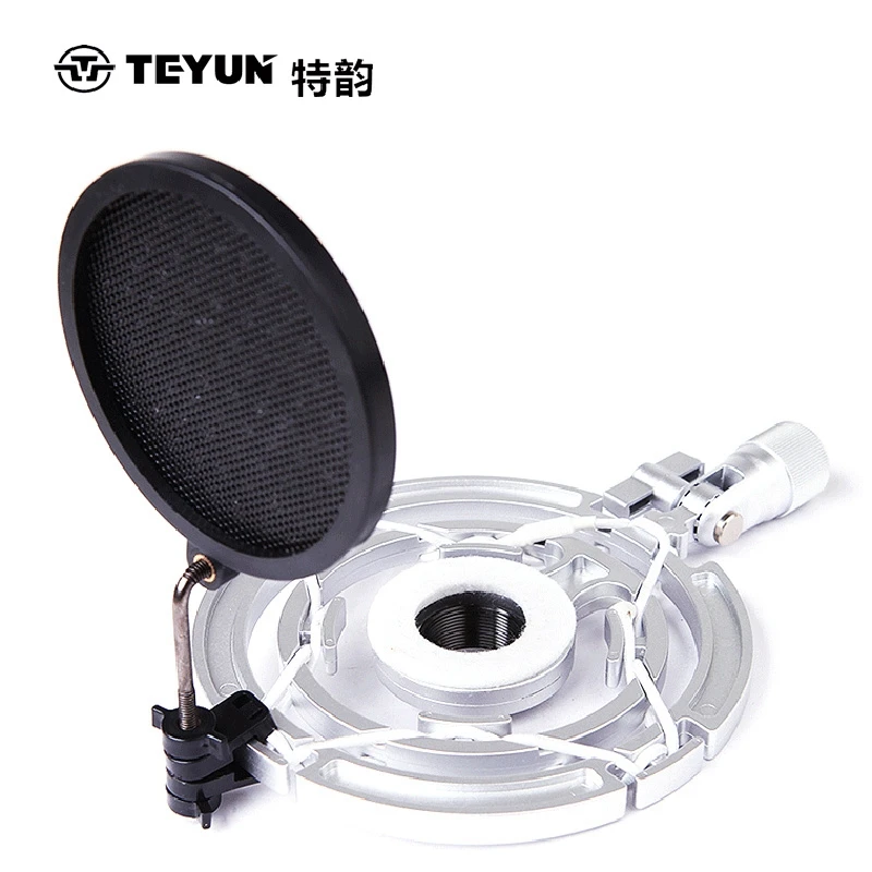 TEYUN микрофон Запись металлический двойной-Слои противовыбросовое чистая