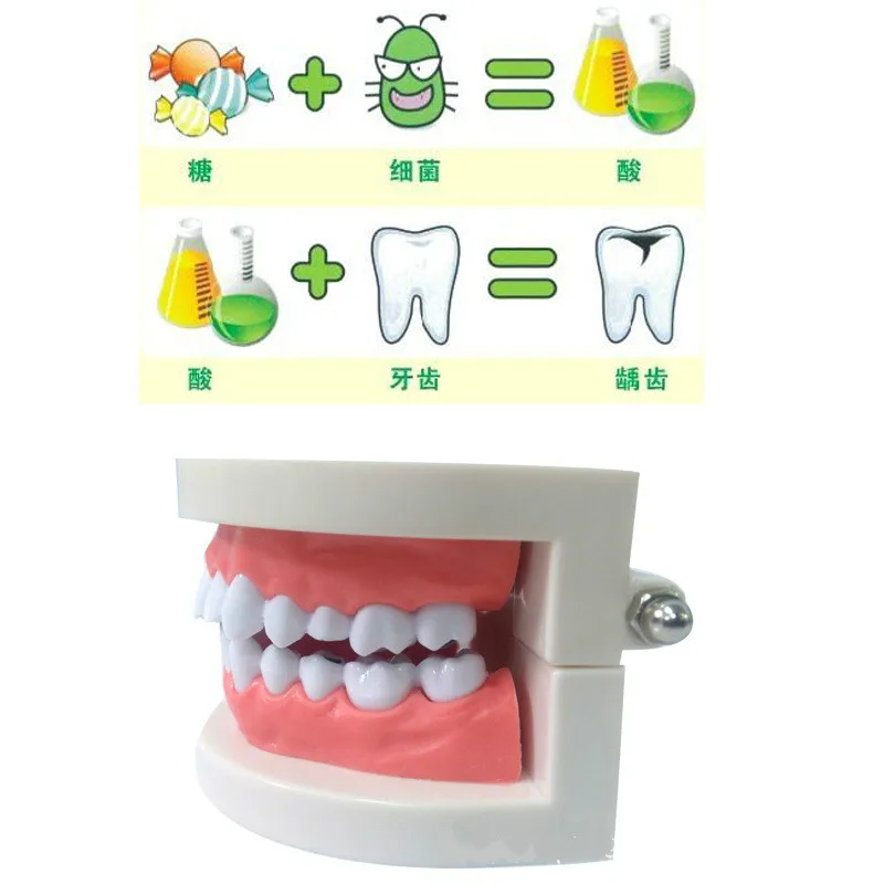ABS PVC Dental Model Oral Instrument Tools Consumables Tooth Decay Medical Care Teaching Aids Teeth | Канцтовары для офиса и