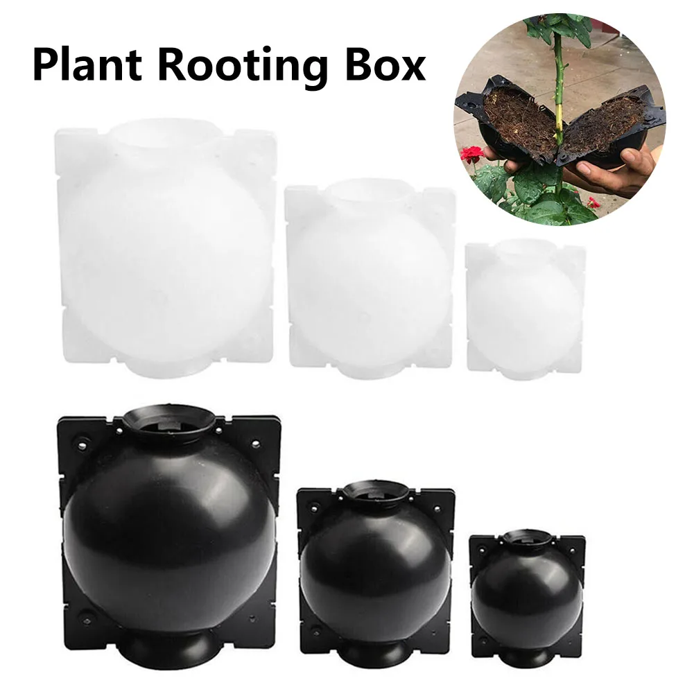 

Plant Rooting Device Grafting Rooting Growing Box High Pressure Grafting Ball Boxes Growing Breeding Case Fit Gardening Supplies