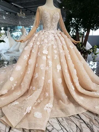 light champagne CloverBridal дорогой достойный слоновой кости Иллюзия с длинным рукавом длина пола камни жемчуг Цветы Роскошные свадебные платья - Цвет: light champagne