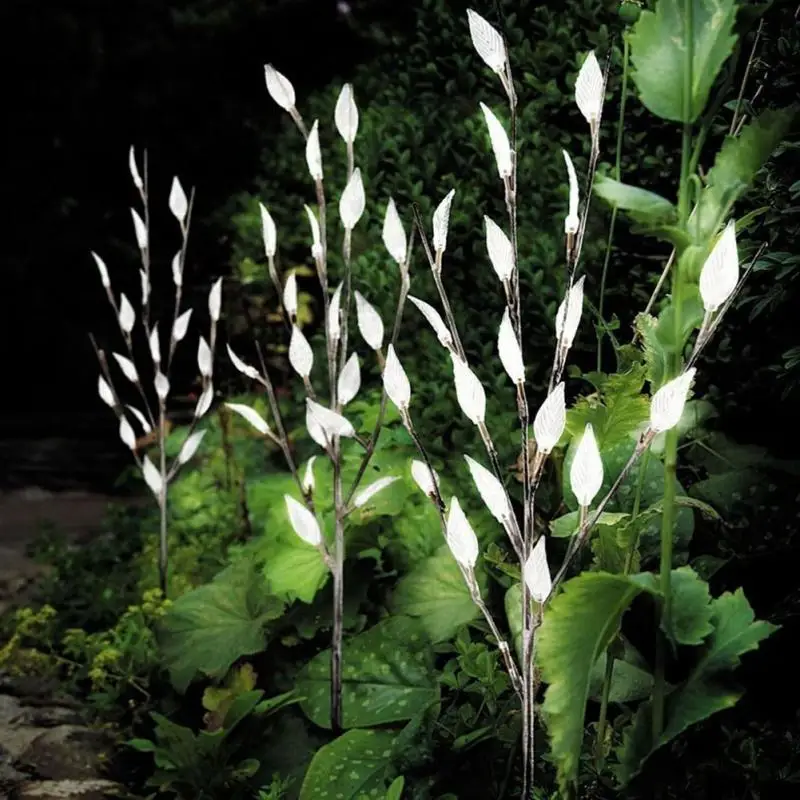 

Outdoor Lighting