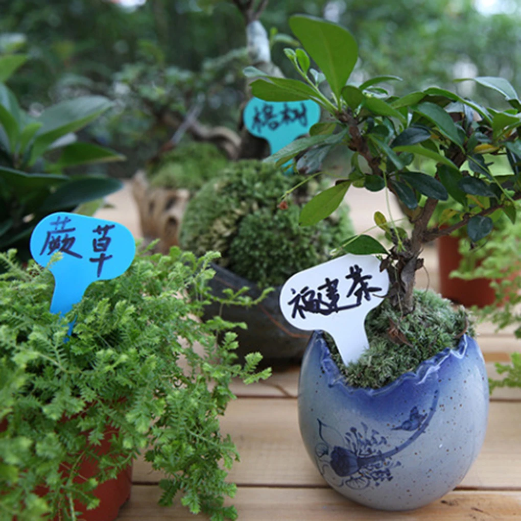 100 шт. Т образные пластиковые маркеры для сада рассады|Маркеры растений| |