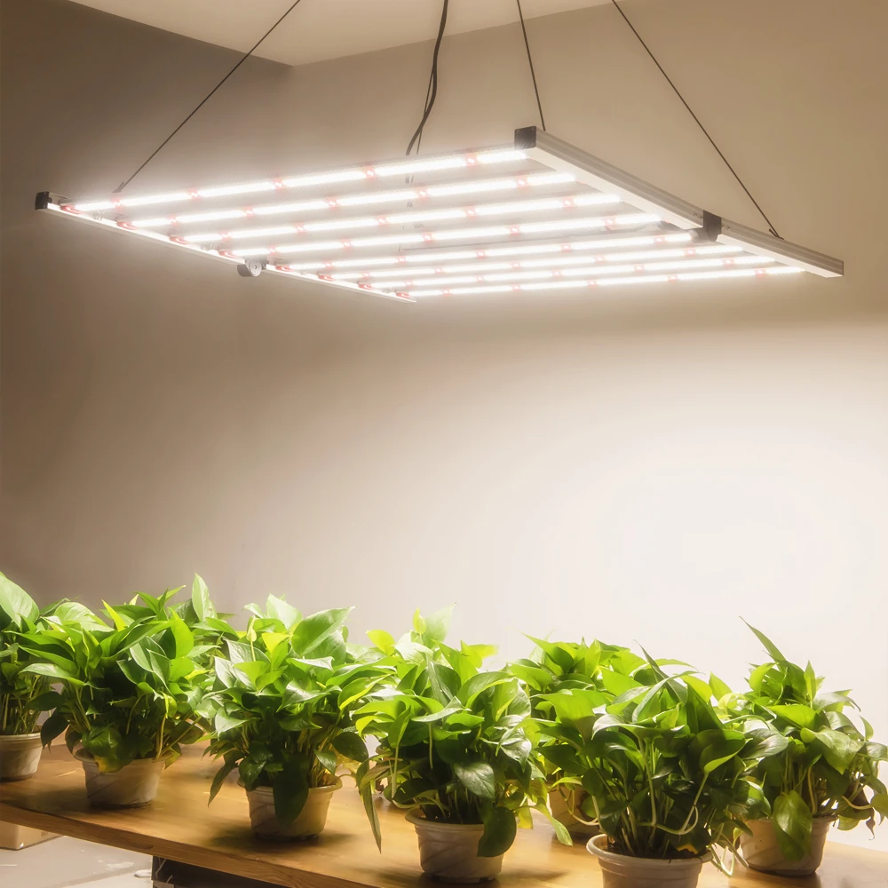 Bar For Indoor Plants 6x6ft Coverage  2120 Pcs Leds