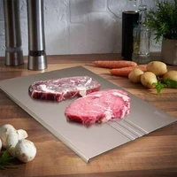 home use quick thawing plate fast defrost tray thaw frozen meat fish seafood defrost kitchen gadget tool quick defrosting plate