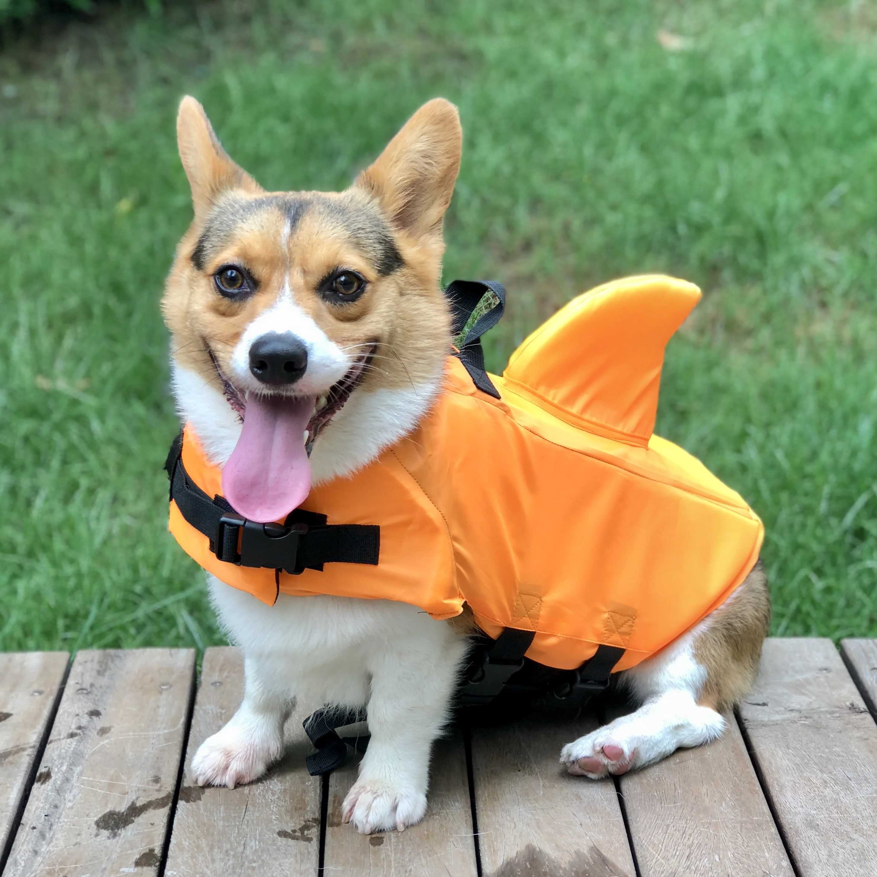 Собачья жилетка одежда для домашних животных безопасность купальный костюм