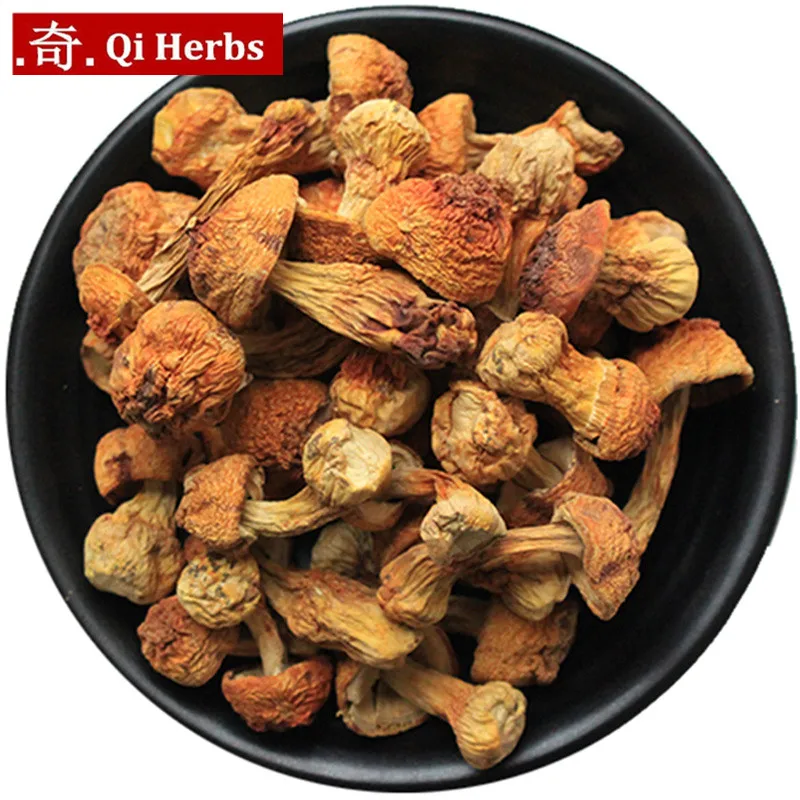 Сушеный агарикус блазей/триголома мацутакэ |