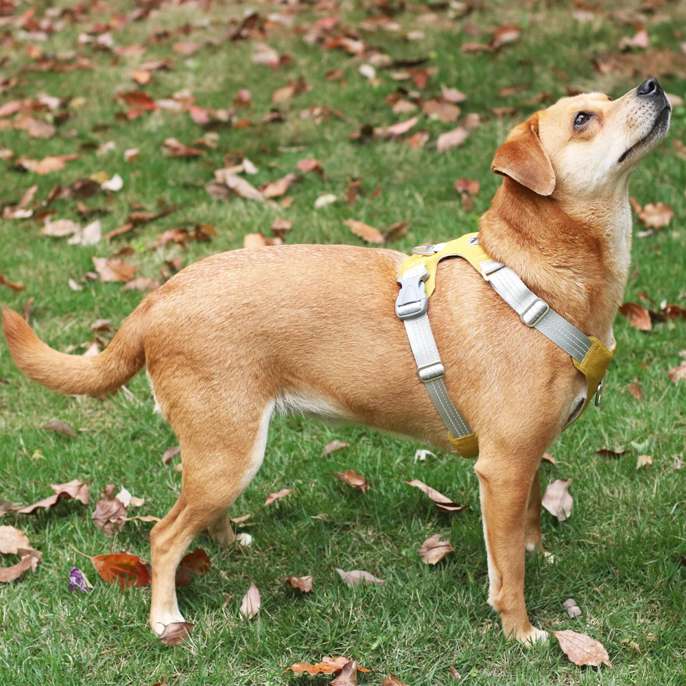 

Adjustable Reflective Dog Harness Chest Strap Vest for Small Medium and Large Dogs Outdoor Training Protective Dog Harness
