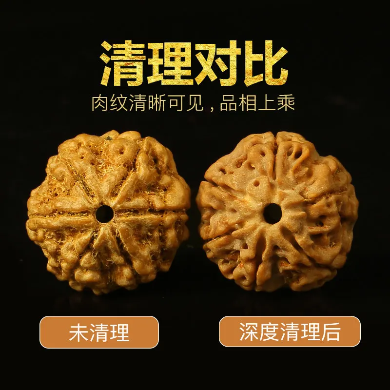 Непальская куркума жареное мясо шесть больших рудракша сон Конг Бодхисаттва