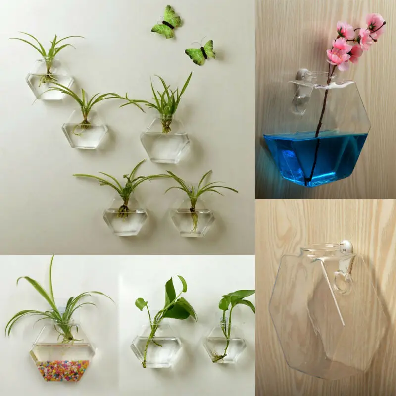Семейная настенная стеклянная ваза нежная шестиугольная гидропонная Террариум