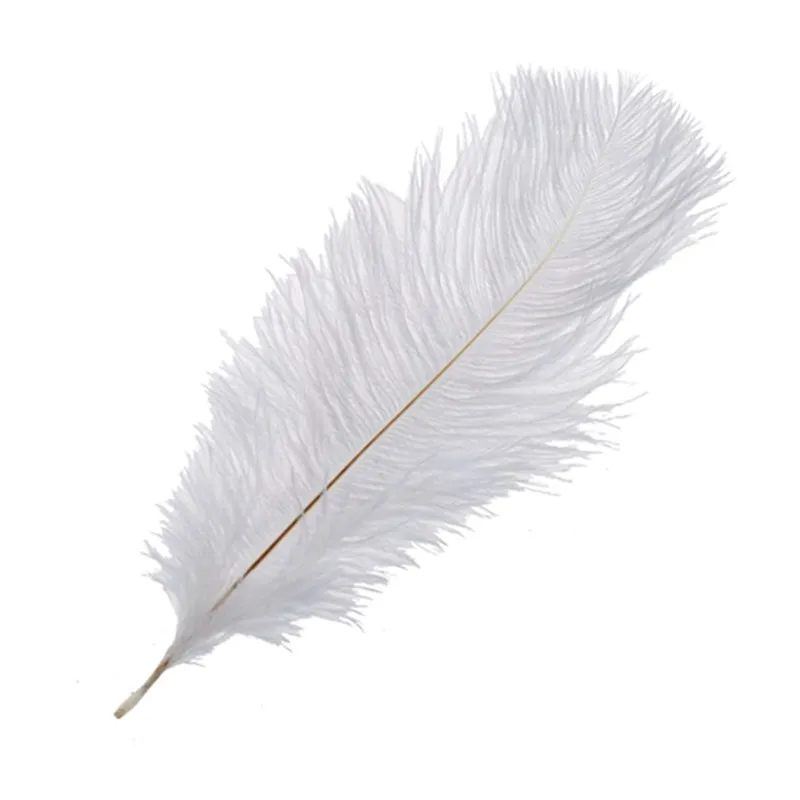 

Quality 10 Pieces White Natural Ostrich Feather 20-25cm Wedding DIY
