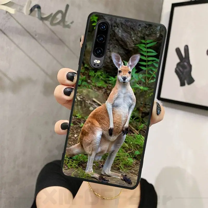 

Cute kangaroo Koala Phone Case for huawei p20 p30 p40 pro mate 10 20 30 pro lite p smart y7 2019 plus nova 3I cases cover
