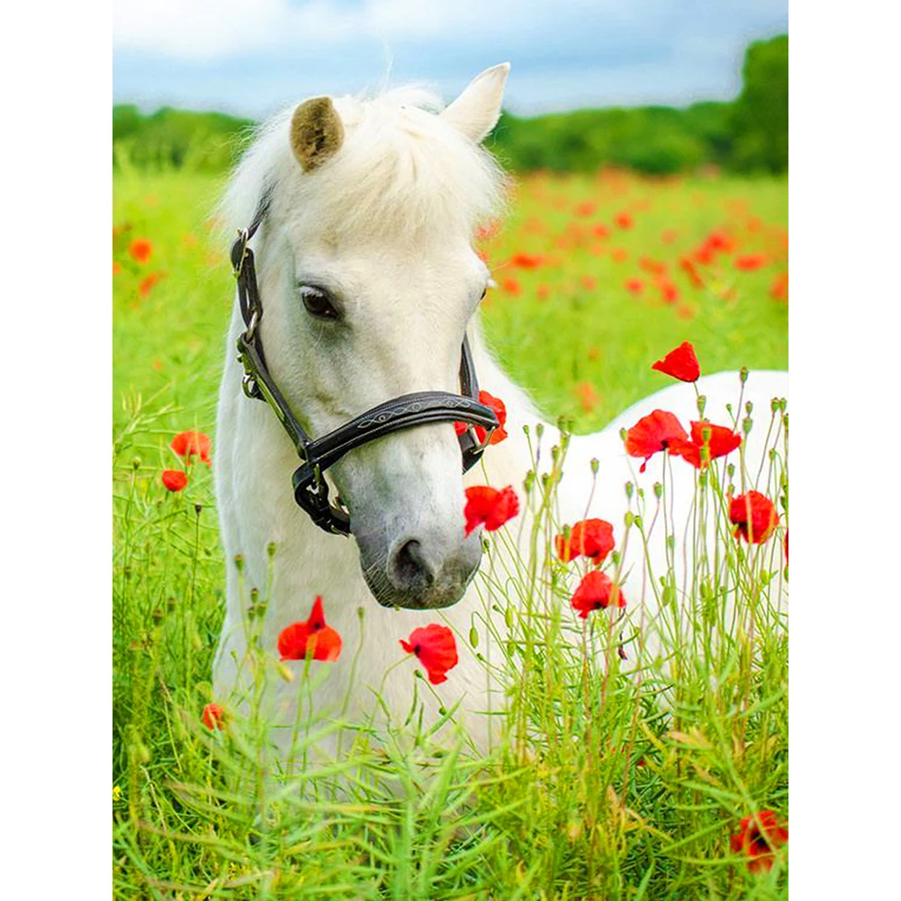 

Eniref DIY Diamond Painting 5D Full Round Diamond Mosaic Embroidery Kits Rhinestone Art Horse Picture Home Decor Gifts