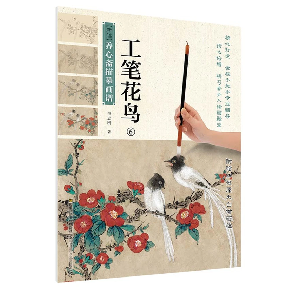 

Tracing and painting book meticulous flowers and birds (6) Sketch book Art Drawing high-quality Painting copyBook for training