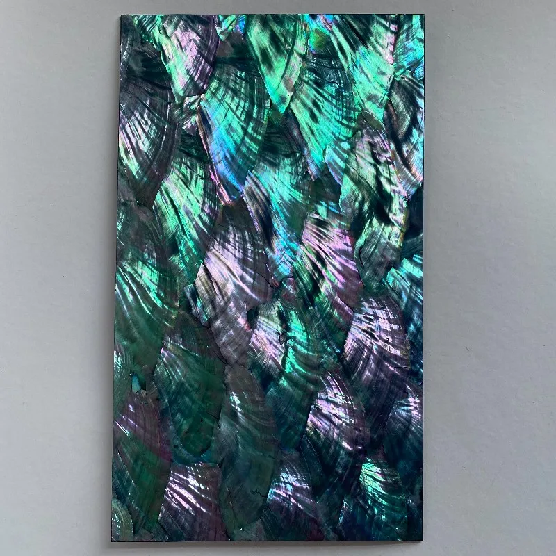 Веерообразная ракушка из черного фона без декора аксессуары для музыкальных