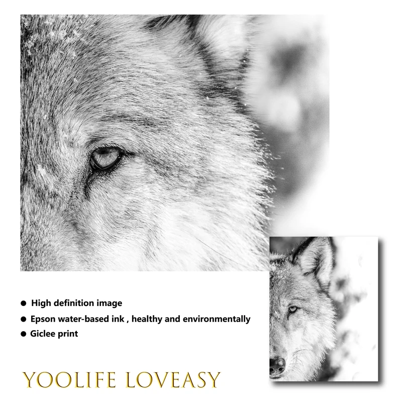 Черно-белый волк печать Лес Животные фотопостер дикой природы настенная
