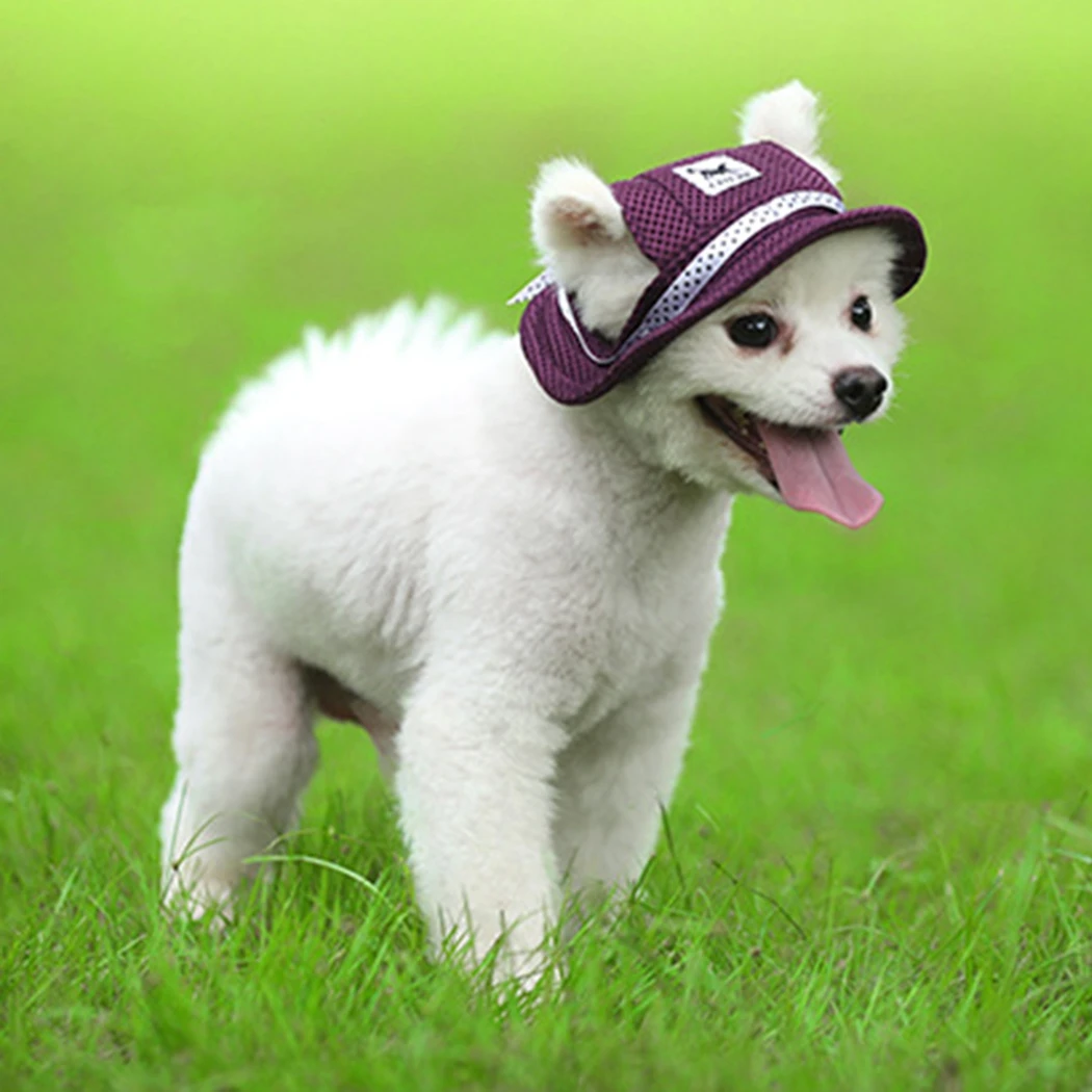 

Summer Pet Dog Sports Hat Adjustable Breathable Protective Fashion Dog Baseball Cap Pet Sun Visor Dog Outdoor Hiking Accessories