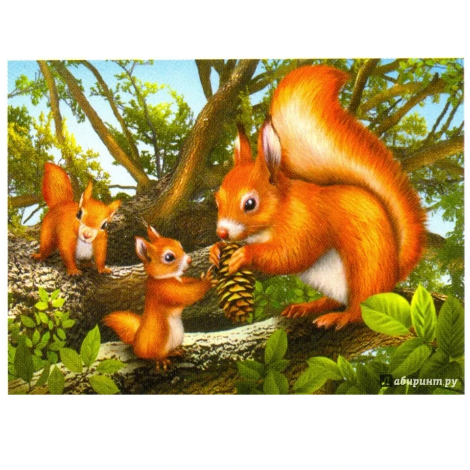 

diamant painting Squirrel diamond painting full square round diamond embroidery sale animals 3d hand puzzle diamond art,