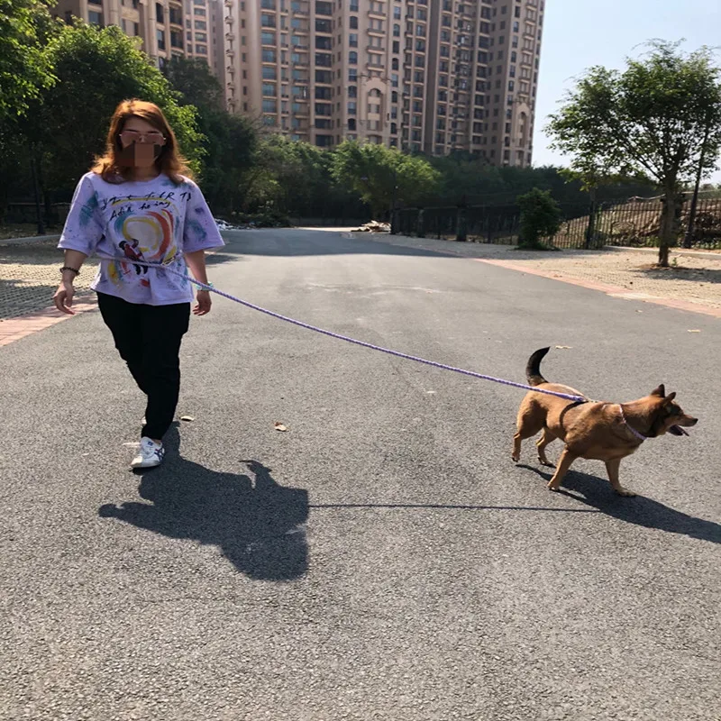 

Dog Leash For Medium Large Dogs Adjustable Multifunctional Hand-woven Training Rope Pet Outdoor Walking Jogging Supplies