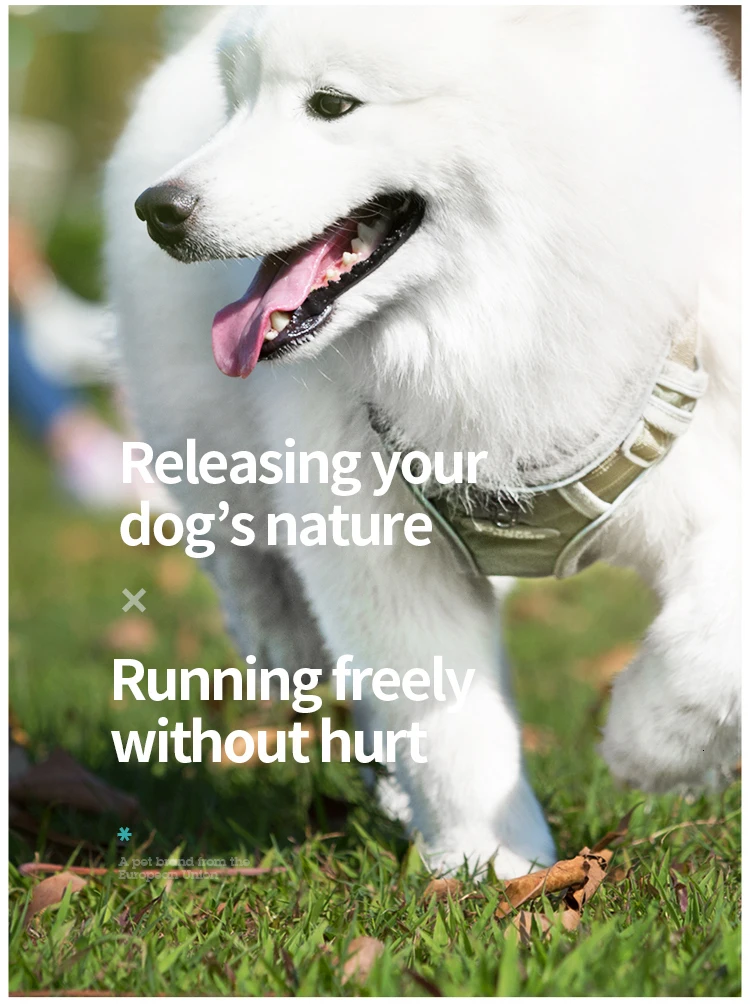 TUFF HOUND товары для домашних животных нейлоновый жилет для собак K9 дышащий и удобный пояс для собак большой маленький бульдог быстросъемный