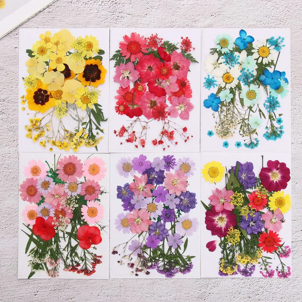 

Molds Crystal Jewelry Making UV Epoxy Babysbreath Resin Filler Dried Flowers Resin Mold Filling Flower Beauty Decal