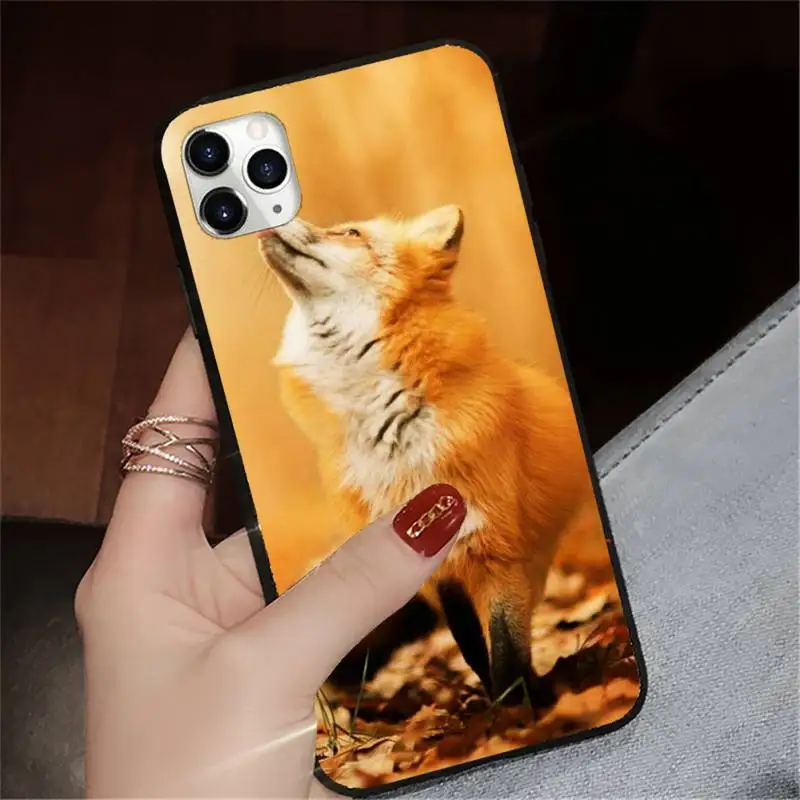 

Autumn leaves fall fox pumpkin Halloween Phone Case for iPhone 11 12 pro XS MAX 8 7 6 6S Plus X 5S SE 2020 XR