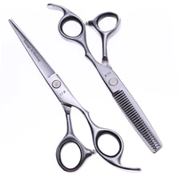 6 inch professional stainless steel pet scissors dog grooming cuttingthinning shears kit for animal regular blade styling tools