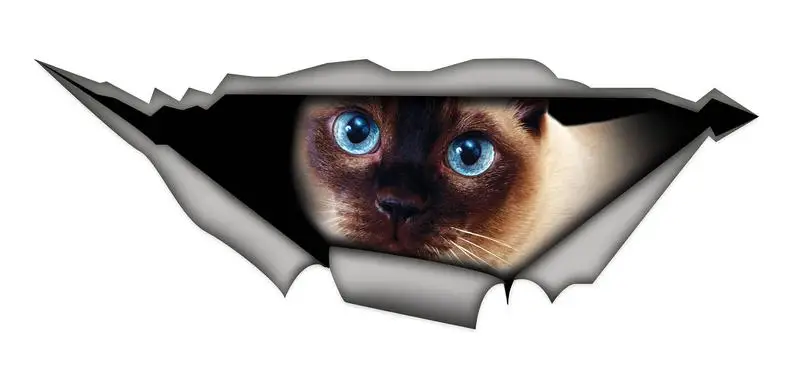 

2021 Siamese cat decal, funny sticker, cat car sticker, Siamese cat sticker