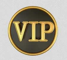 Enlace VIP para usuario personal-0